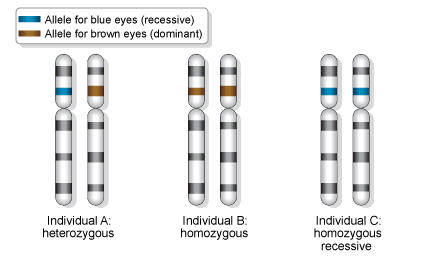 Institutions & Genetics – Unsightly Mental Blemishes